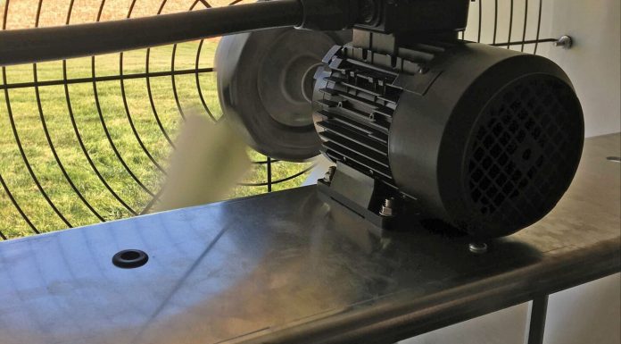 Protecting Pig Health During Warm Weather Transition