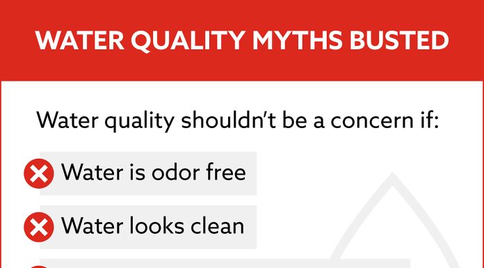 Why Water Disinfection Matters to the Success of Your Swine Operation