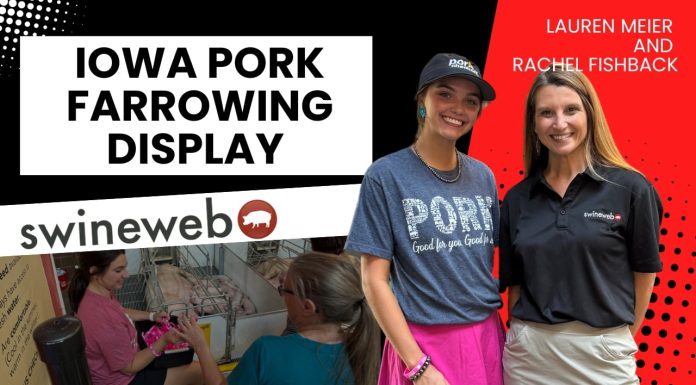 Inside the Iowa State Fair Pig Farrowing Display with Lauren Meier