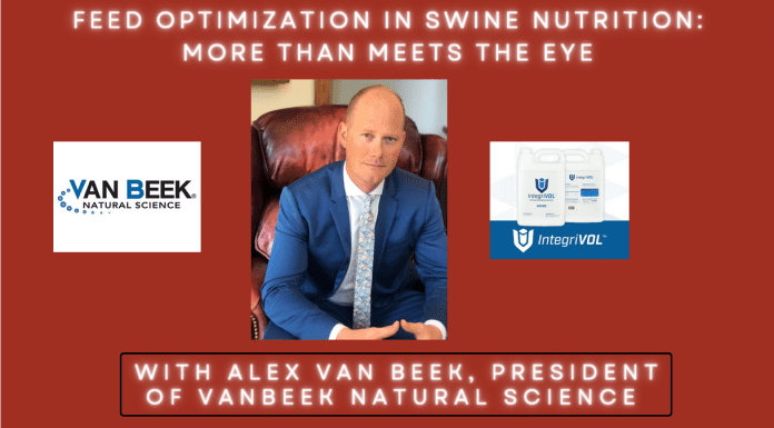 Feed Optimization in Swine Nutrition: More Than Meets the Eye