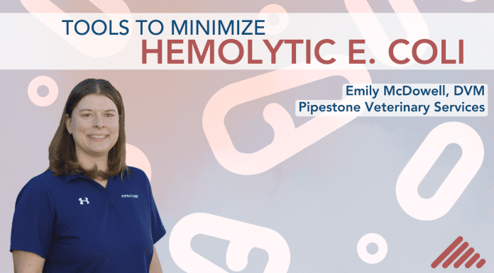 Tools to Minimize Hemolytic E. coli, By Emily McDowell, DVM for Pipestone