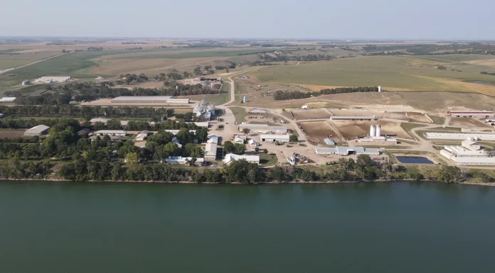 Boosting Farm Efficiency: How Phason Technology Transformed Bon Homme Colony’s Livestock Operations