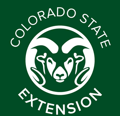 Stockmanship Dramatically Improved Since the 1990s