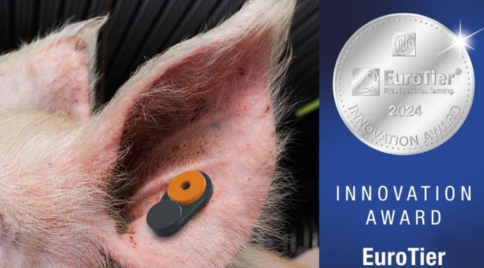 Award-Winning Innovations in Sow Management and Pig Production at EuroTier: BioTag and Big Dutchman Lead the Way