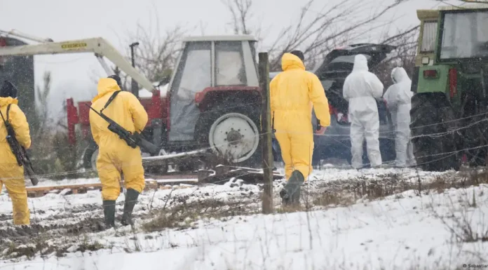 Germany Reports First Foot-and-Mouth Disease Outbreak in 35 Years