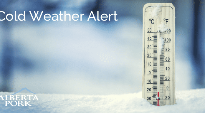 Hog Transport in Extreme Cold: What Producers Need to Know