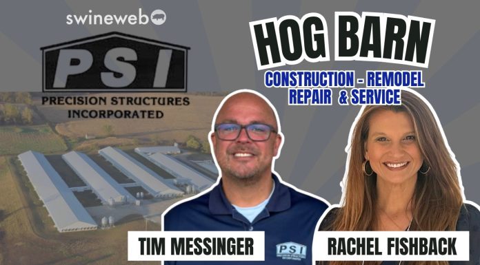 Building Better Barns: Innovations in Hog Facility Design with PSI’s Tim Messinger