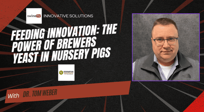 Feeding Innovation: The Power of Brewers Yeast in Nursery Pigs with Dr. Tom Weber