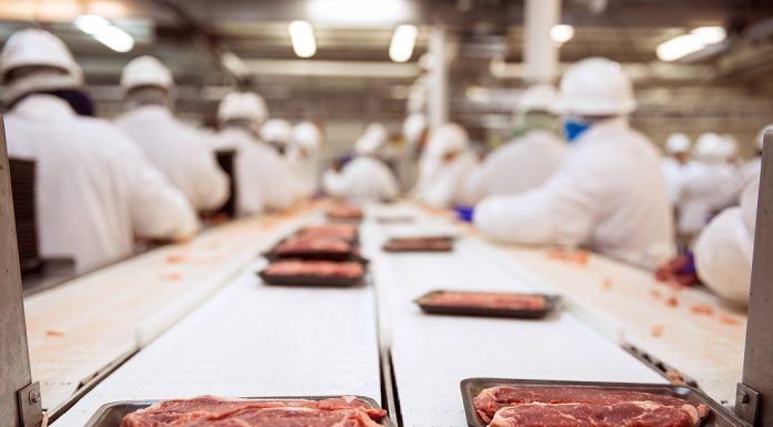 New Jacksonville Meat Plant Could Signal Boost for Regional Pork Processing