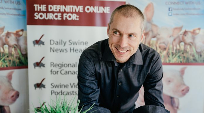 2026: Why This Feels Like a Turning Point — Not a Bounce By Jim Eadie