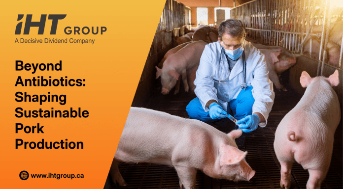 Innovations on the Horizon: Advancing Antimicrobial Stewardship in the Swine Industry in 2025