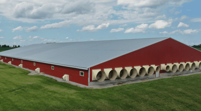 Automated Winter Barn Ventilation: Cut Energy Costs Without Sacrificing Air Quality