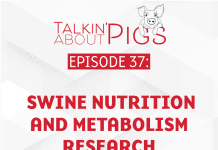 Swine Nutrition and Metabolism Research at Iowa State Talkin’ About Pigs by Swine Medicine Education Center
