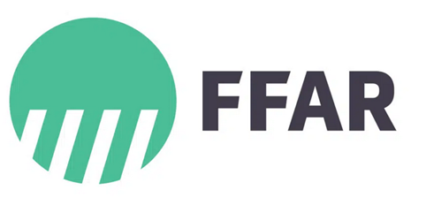 New Research Aims to Refine Antibiotic Use in Swine Production