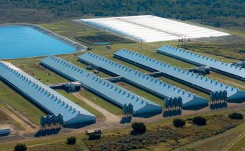 Foreign Ownership Isn’t the Story—But It’s Becoming the Signal What the Oklahoma Debate Reveals About the Future of Pork Production