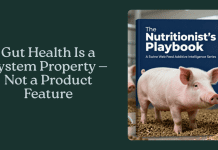 Gut Health Is a System Property — Not a Product Feature