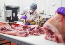 $100K Grants Target Processing Bottlenecks — Why It Matters for Pork Producers